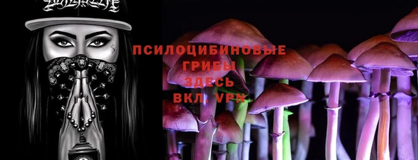 спиды Вязьма