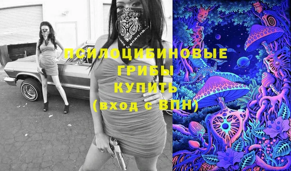 бошки Балахна
