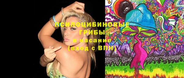 бошки Балахна