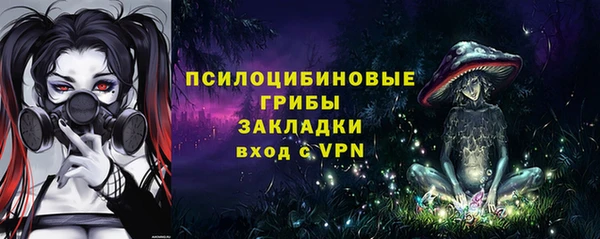 шишки Вязники