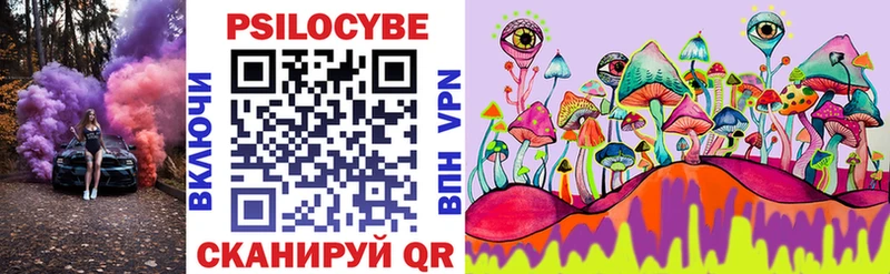дарнет шоп  Верхняя Салда  Псилоцибиновые грибы Psilocybine cubensis 